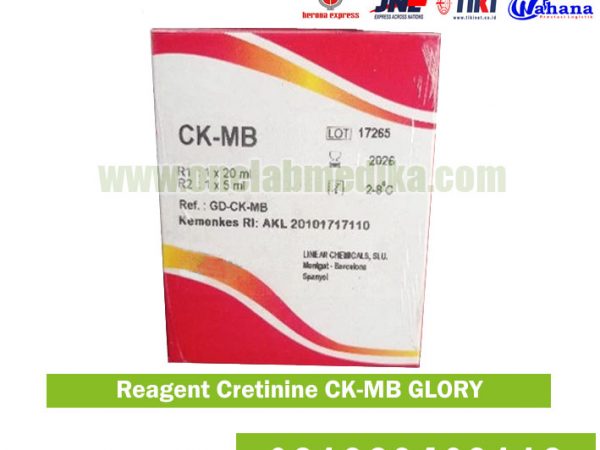 Reagent Creatinine CK-MB GLORY asli untuk pemeriksaan enzim jantung akurat